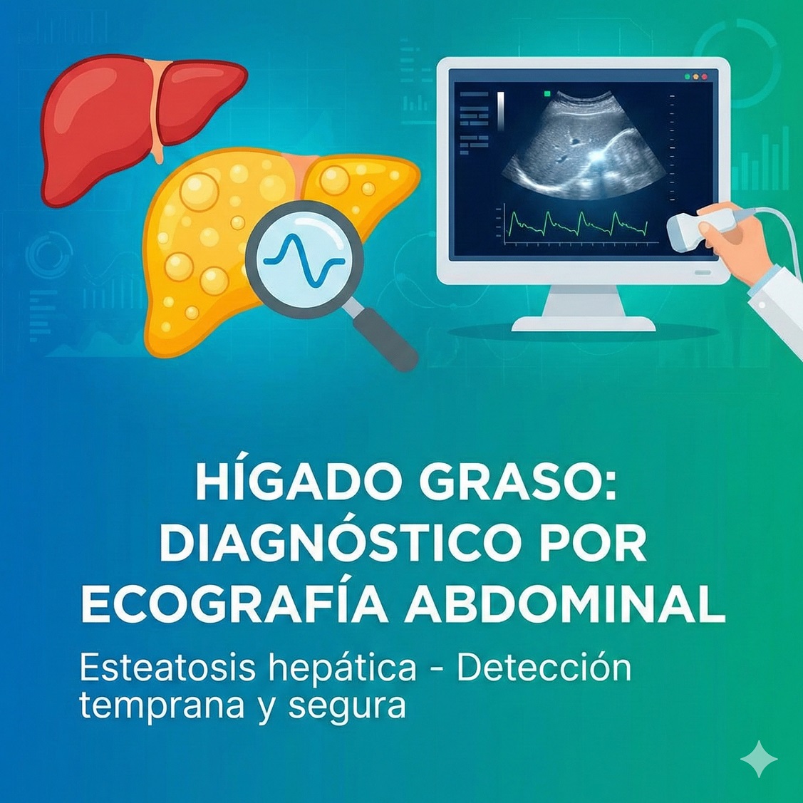 Hígado graso: qué es y cómo se diagnostica por ecografía abdominal