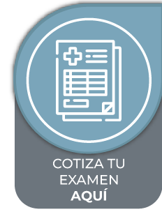 Cotizar