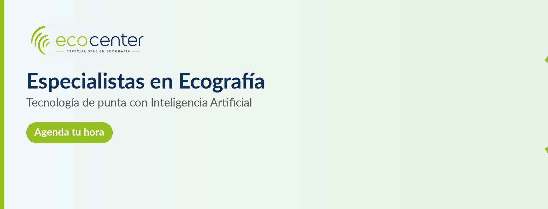 Especialistas en Ecografía